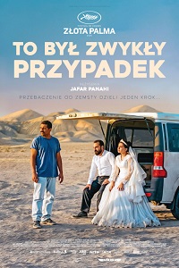 Plakat filmu To był zwykły przypadek